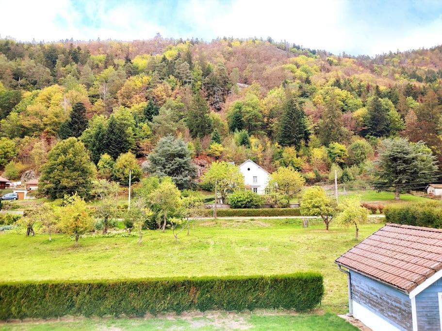 Le Vivaldi, Au Coeur Du Massif Vosgien Avec Terrain De Petanque Villa Rochesson Luaran gambar