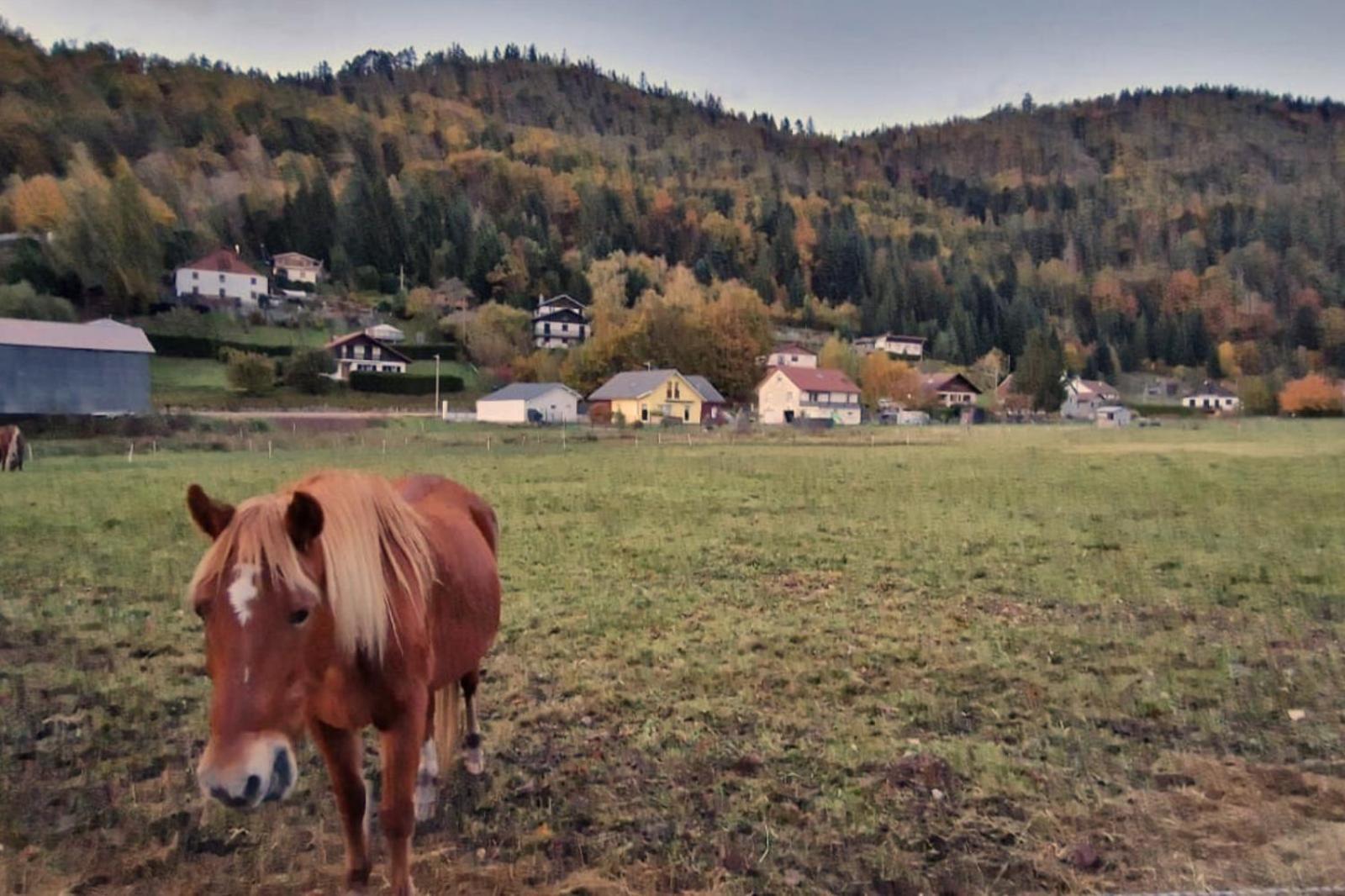 Le Vivaldi, Au Coeur Du Massif Vosgien Avec Terrain De Petanque Villa Rochesson Luaran gambar